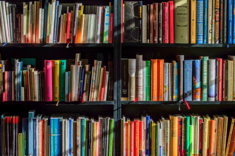 boutique-COTIGNAC-min_books_bookstore_book_reading_shop_writer_sale_books_read-822866